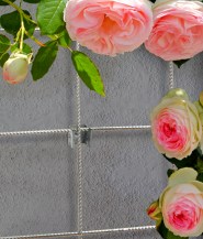 12392 - panel mounting clips in-situ